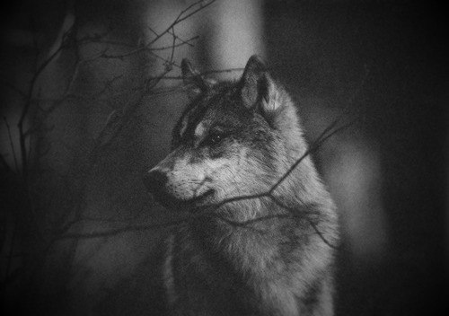 Natafffffka Kovaluyk | Луцк