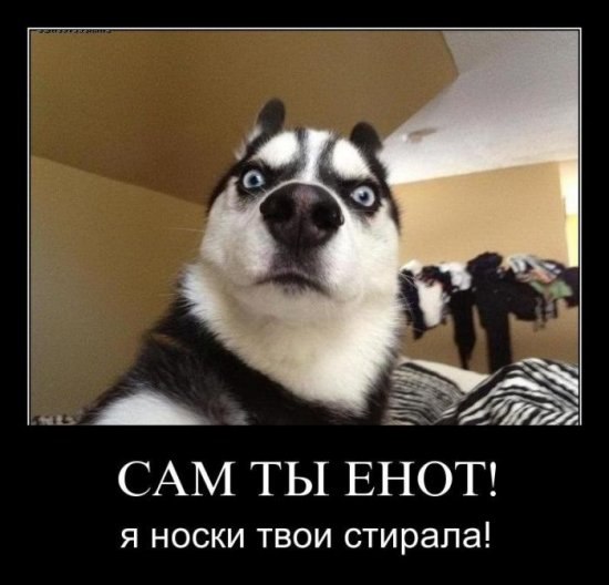 Ольга Виноградова | Санкт-Петербург