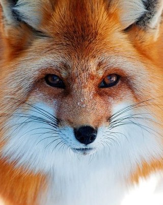 Екатерина Санец | Калининград