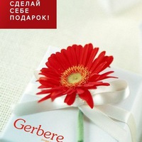 Шугаринг паста Gerbere Санкт-Петербург