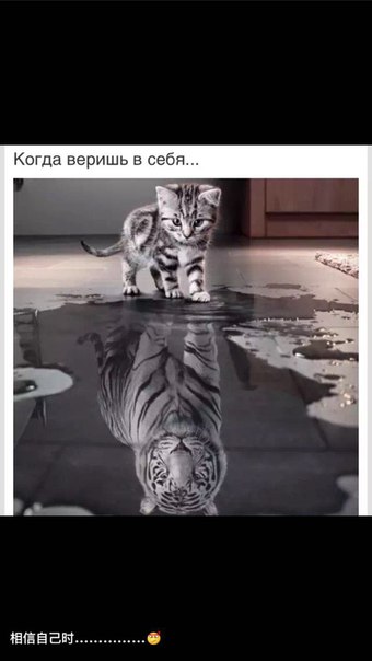 Дмитрий Медведев, Россия, Москва