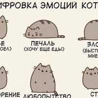 Мария Кондратенко
