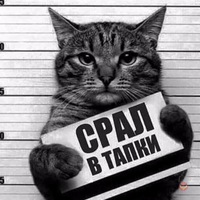 Андрей Ильин