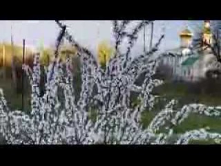 Люцина ХВОРОСТ  Дощ іде, мов на сповідь