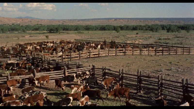 Отчаянный ковбой, Cowboy