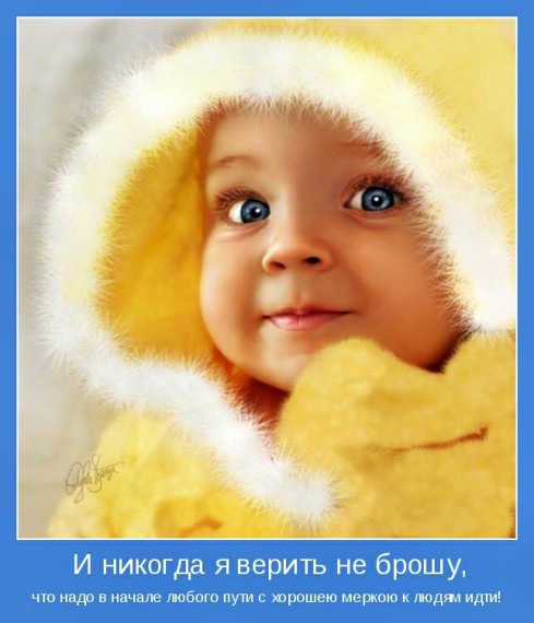 Лапочка *** фотография #1