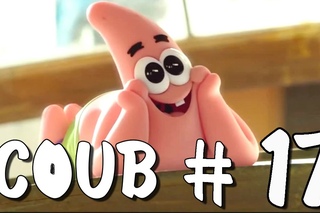 Coub #17