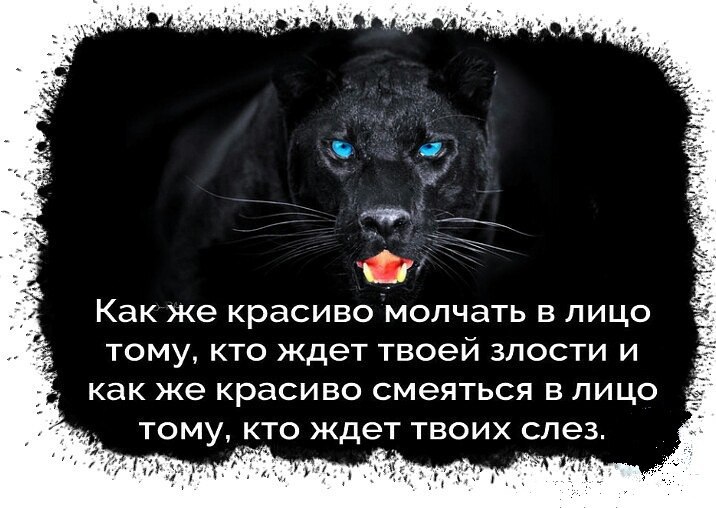 молчать приятно картинки можно телеферике