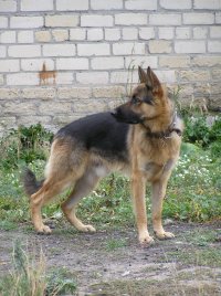 Андрей Прохоров