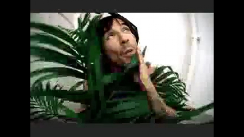 Red Hot Chili Peppers Cant