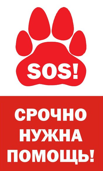 вашему вниманию картинки ситуация сос вот