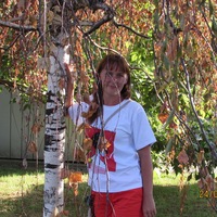 Елена Куликова