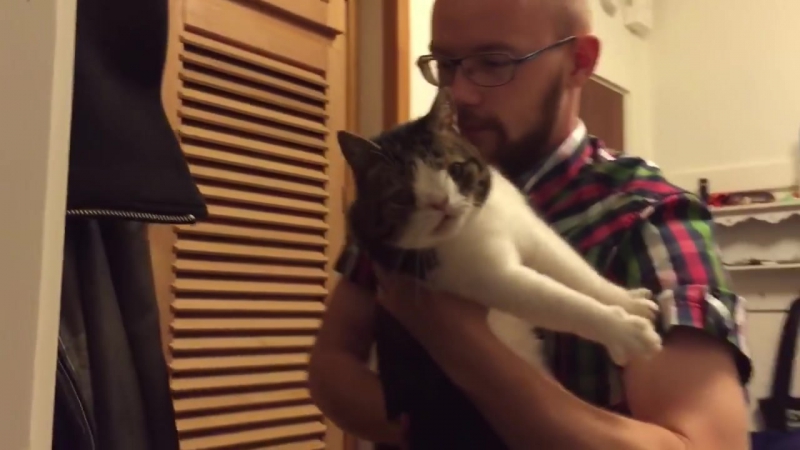 10 reasons why you should adopt a shelter