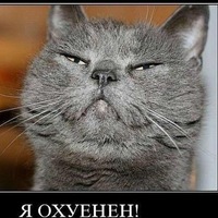 Александр Романенко
