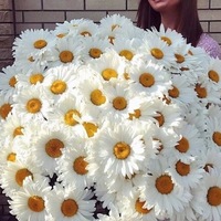 Ирина Ильина