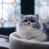 Дарья Малиновская