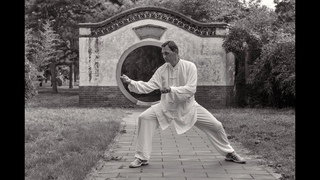 Тайцзицюань. Ур26 Вихревая нога. Тайцзи, цигун, ушу // Tai chi, qigong, kung fu