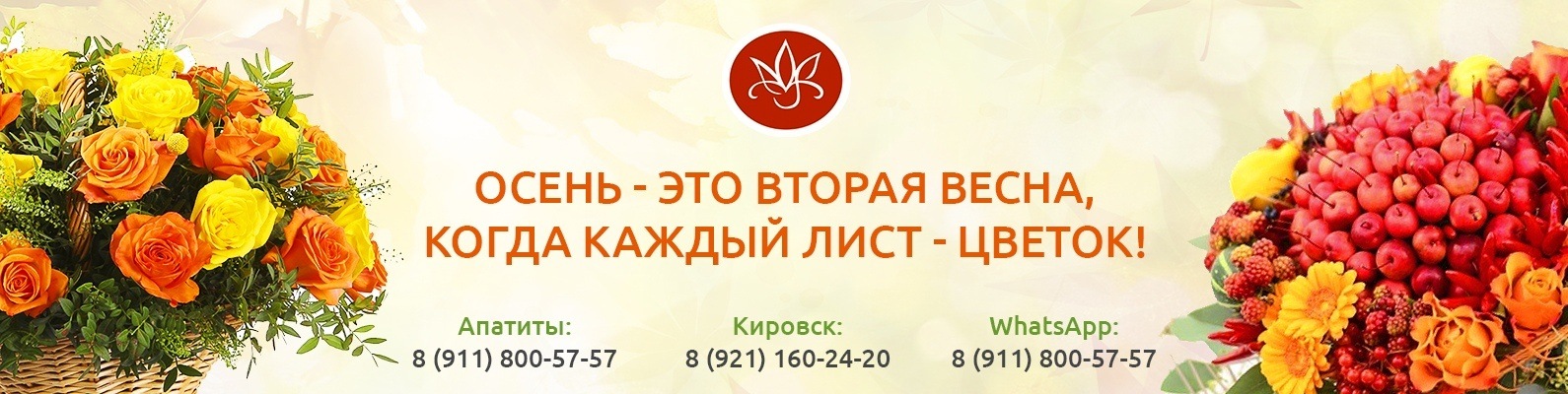 Заказ цветов апатиты с доставкой