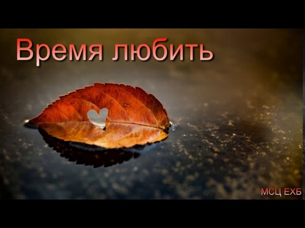 Мсц ехб открытки спокойной ночи, живые