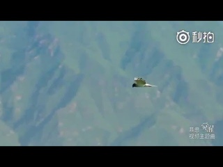 许巍《我的爱》