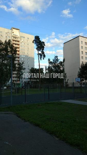 Спортивную площадку на 2-й Вольской улице обнесли ограждением по просьбе местного жителя Спортивную площадку на 2-й Вольской улице обнесли ограждением по просьбе местного жителя