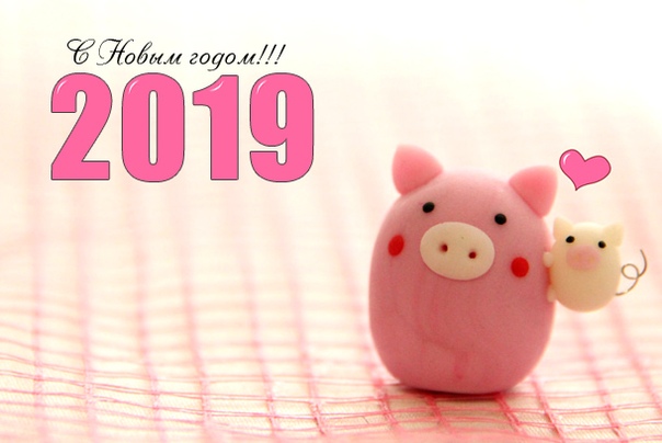 Обои На Телефон Свинка 2020 Обои На Телефон Свинка 2020