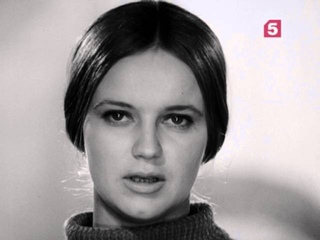Два клена