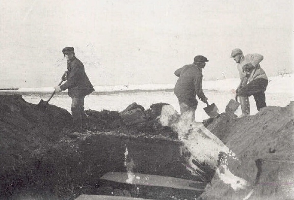 Испанка. Планета Земля, 1918 1919 годы. В феврале 1919-го суперзвезда русского немого кино Вера Холодная играла в одесском театре литературно-артистического общества. По пути со спектакля сани с