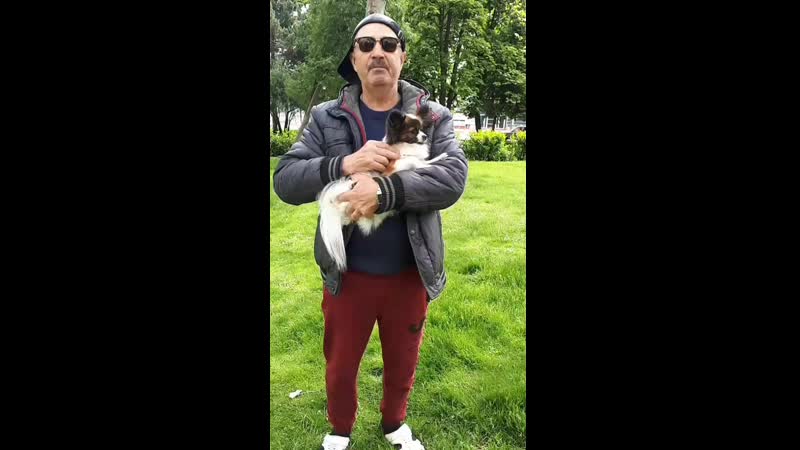 VideoShow_1567140736632_1080HD~2.mp4