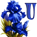 синий ирис алфавит, image #20