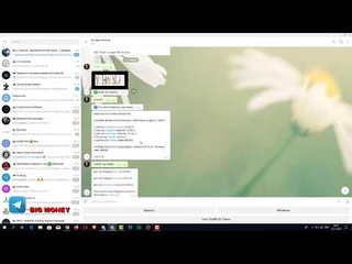 50 DLT ≈ 50$ за простые действия!