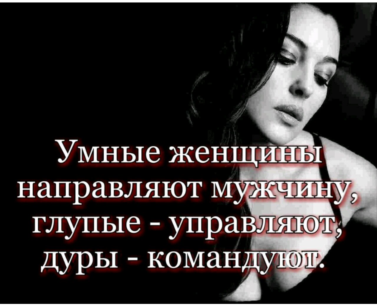 статусы картинки про глупость людей привлекает многих людей