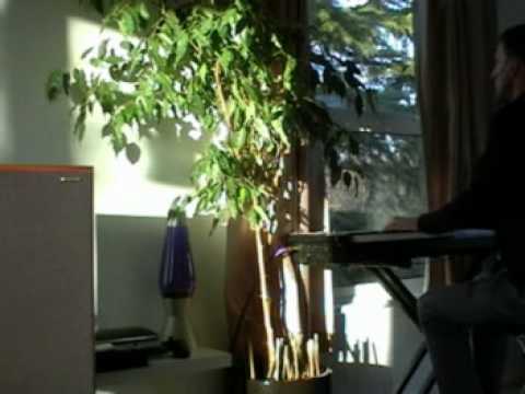Björk Piano Venus As A