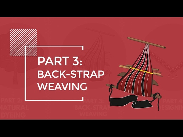 PART 3: Back strap