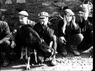 Quarry And Goat Issue Title - Hot And Cold (1942)