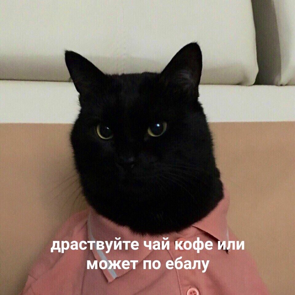 CD7gOQCfuTw.jpg