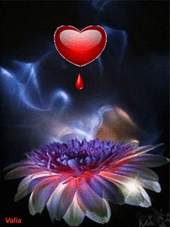 В'ячеслав Войтов фото профиля #2