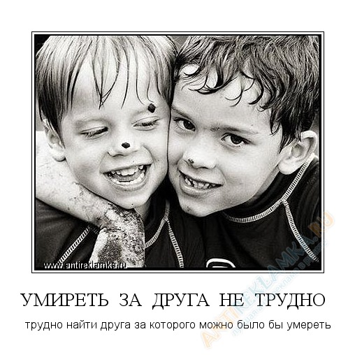 Дмитрий Тимофеев фото профиля #3