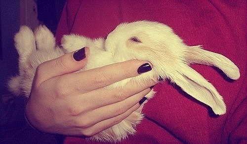 №8, Яна Макеева, 31 год, Москва №8, Яна Макеева, 31 год, Москва