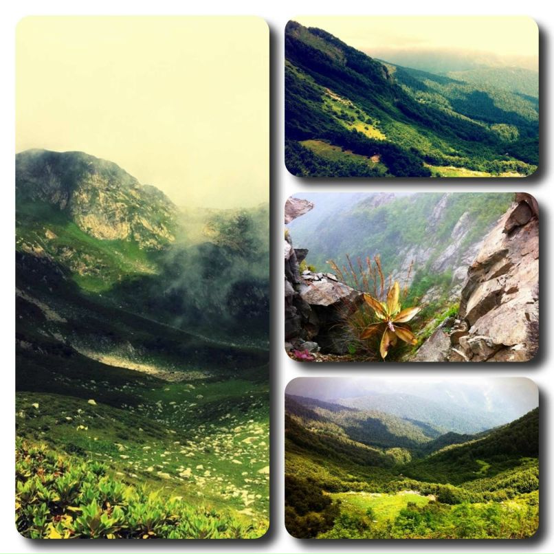 Rost First | Москва