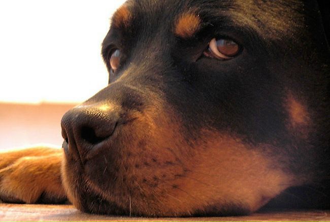 №86, Максим Стельникович, 37 лет, Черкассы №86, Максим Стельникович, 37 лет, Черкассы