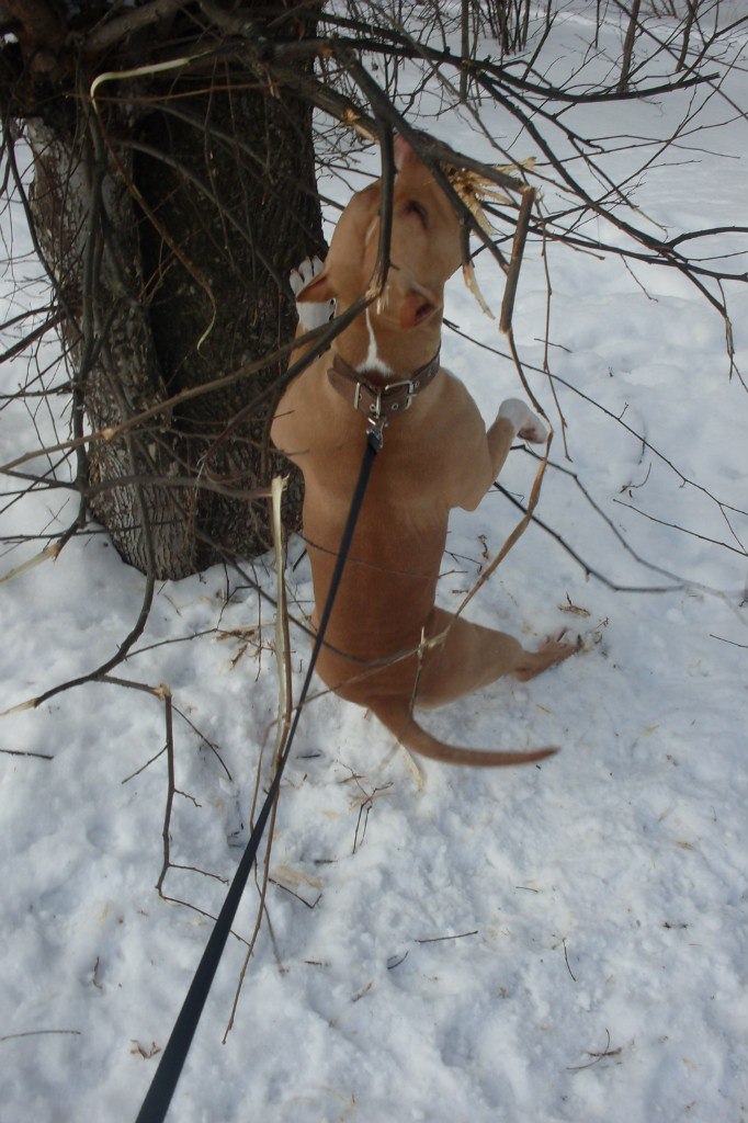 Лешка Власов | Москва