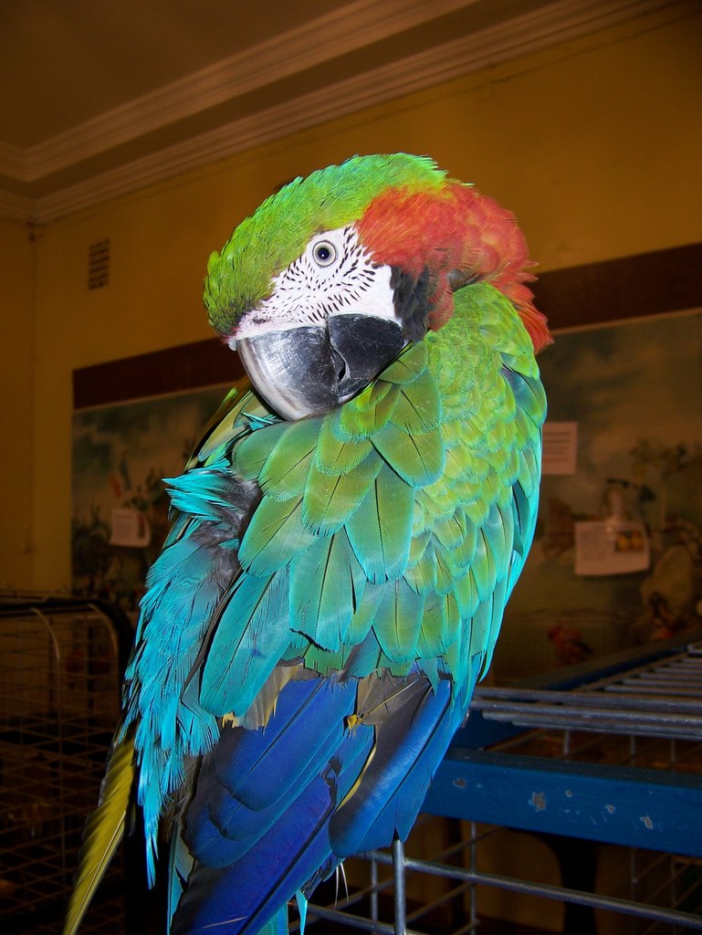 Елена Рожина | Кандалакша