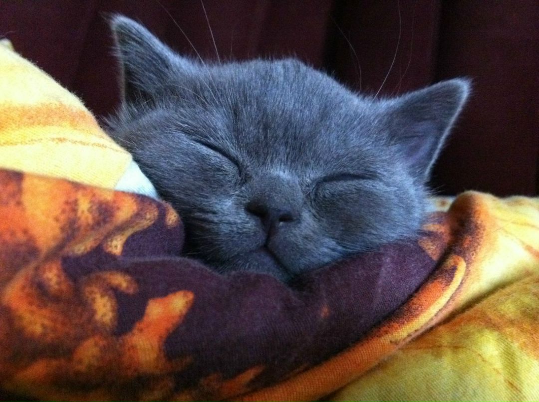 Мария Никитина | Москва