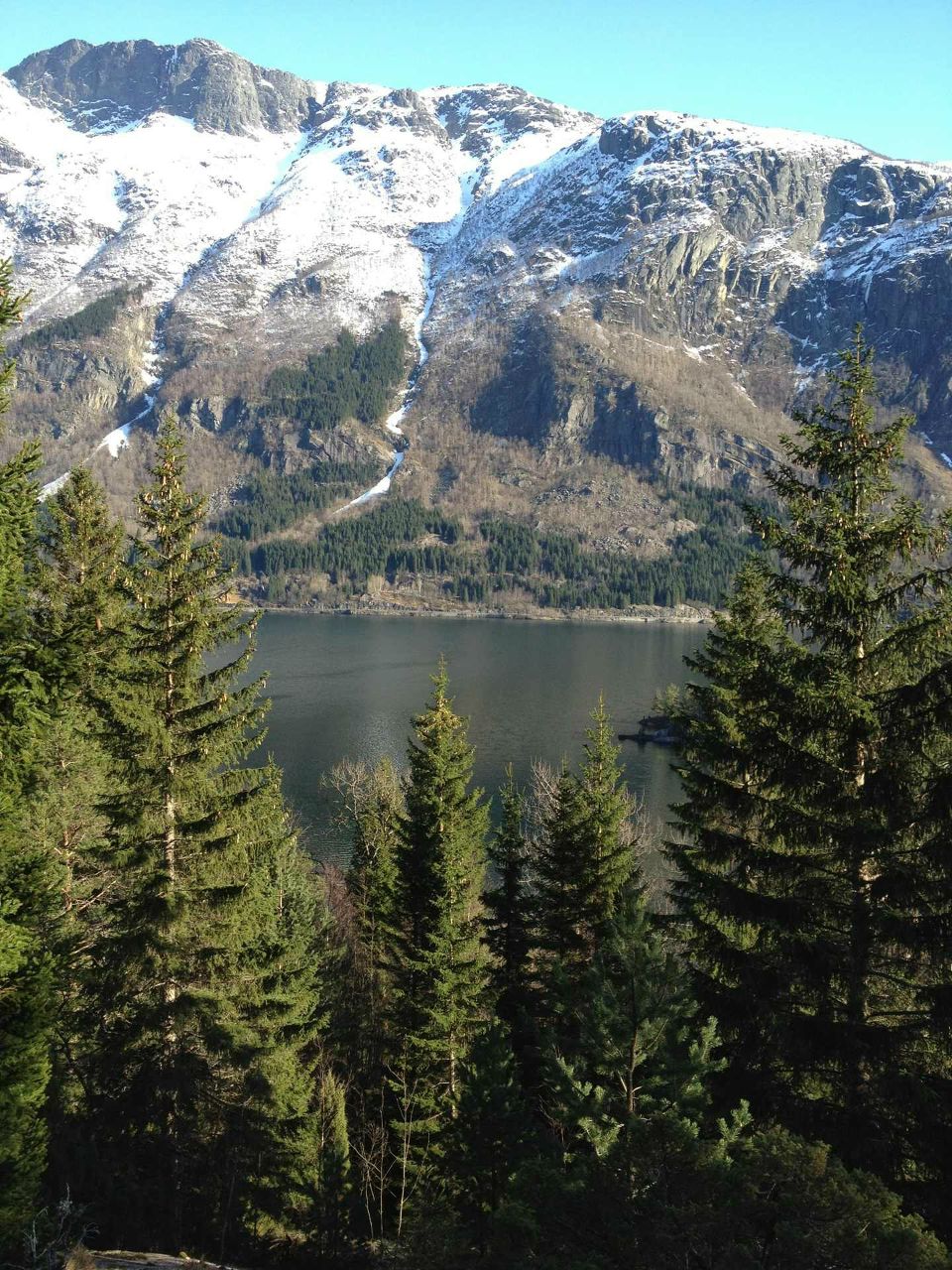 Ольга Часова | Санкт-Петербург