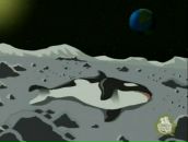 №13 Алексей Грибов 28.08.1986: профиль, фото, статус - ВКонтакте