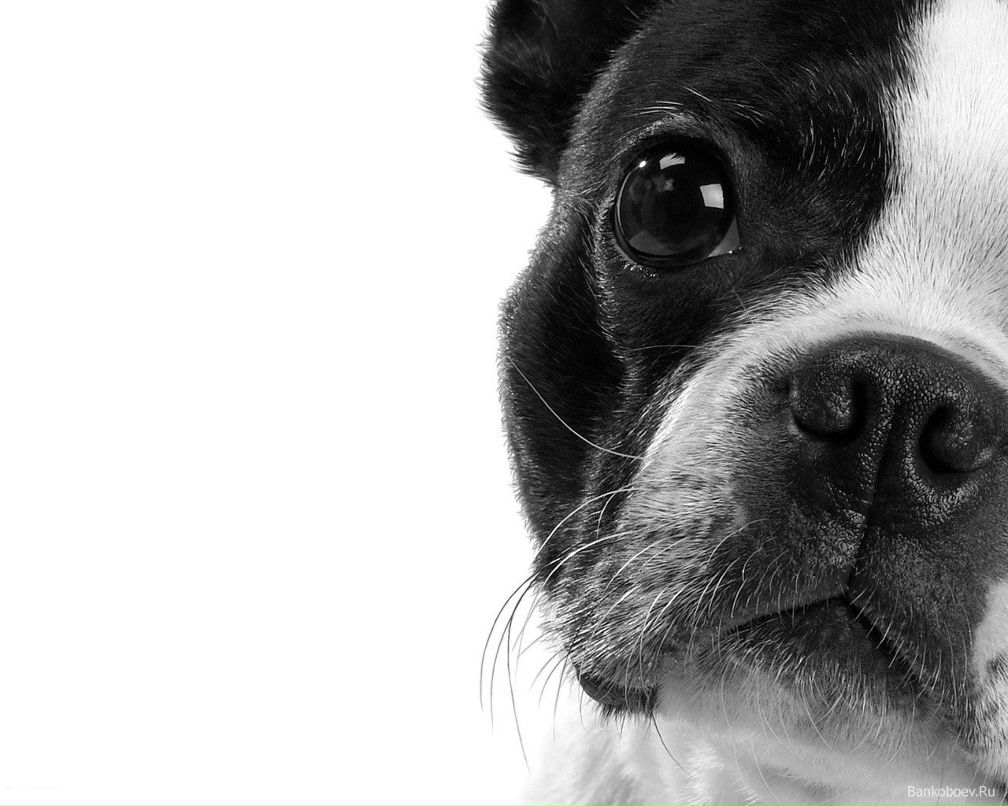 Надежда Агапова | Москва