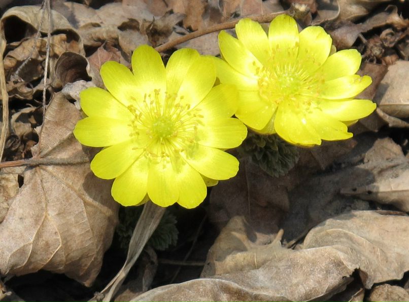 Дарья Ткалич | Владивосток