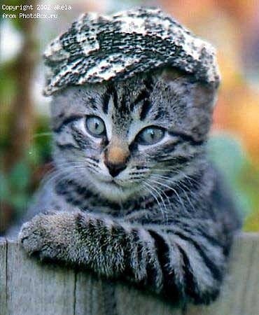 №173, Альберт Шаймиев, 30.09.1977, Санкт-Петербург №173, Альберт Шаймиев, 30.09.1977, Санкт-Петербург