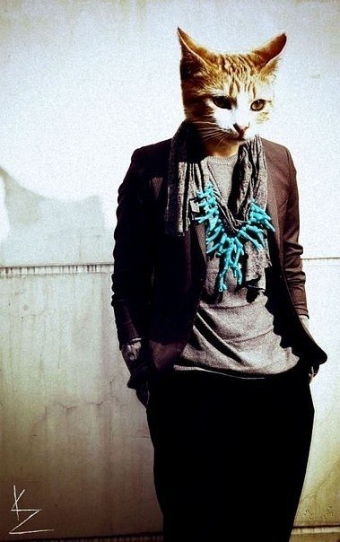 Виталий Шмаков OSTIN | Алматы